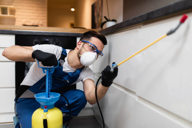 Best Affordable Pest Control Services  in Williamsport, OH