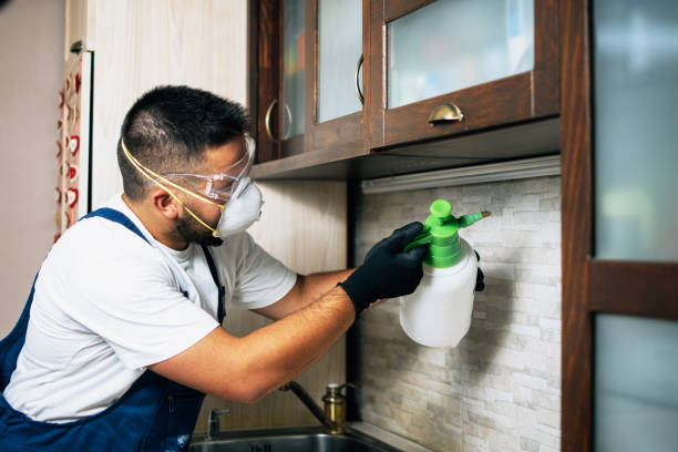 Best Exterminator Services  in Williamsport, OH