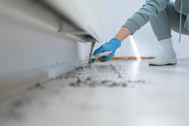 Best Pest Control for Restaurants  in Williamsport, OH